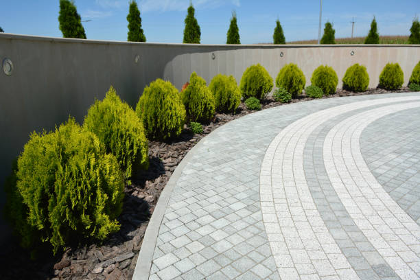 Reasons to Select Us for Your Driveway Paving Requirements in Indio, CA